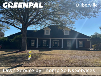 Lawn mowed in Mobile, 36619