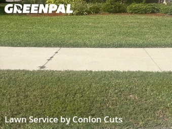 Grass Cutting nearby Palmetto, FL, 