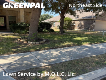 Lawn Maintenancein Schertz,78154,Yard Mowing by M.Q.L.C. Llc., work completed in Nov , 2025