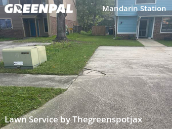 Grass Cut nearby Jacksonville, FL, 