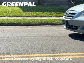 Grass Cut nearby Springfield, OH, 