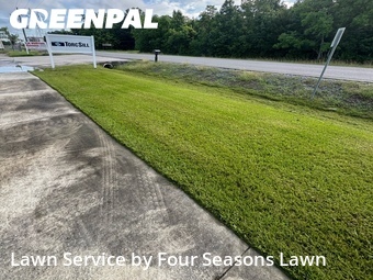 Lawn Care nearby Gonzales, LA, 