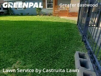 Lawn Mowing nearby Houston, TX, 