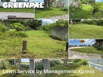 Lawn Cut nearby Punta Gorda, FL, 