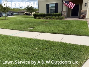 Yard Cutting nearby St. Cloud, FL, 