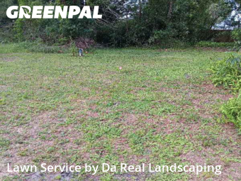 Yard Cutting nearby Land O'lakes, FL, 