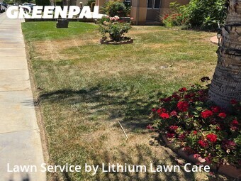 Lawn mowed in Beaumont, 92223