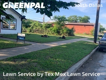 Grass Cut nearby Dallas, TX, 