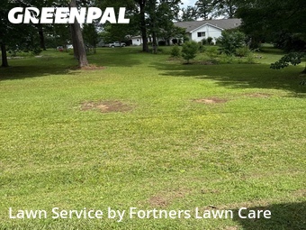Lawn Service nearby Birmingham, AL, 