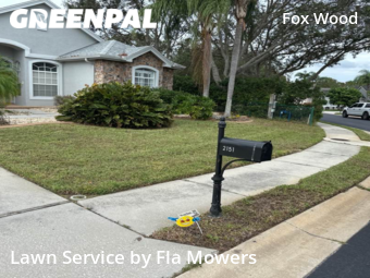 Lawn Mow nearby Trinity, FL, 