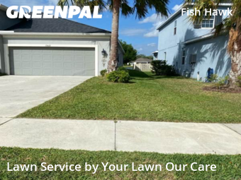Front Yard Mowing in Fish Hawk, 33547, Weekly Mowing by Cnp Lawn Care, work completed in Nov , 2025