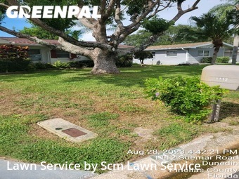 Yard Mowing nearby Dunedin, FL, 
