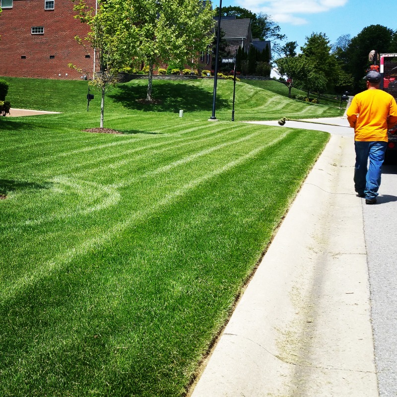 Service By The Yard Lawn Care Services in Murfreesboro, TN