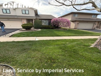 Grass Cut nearby Country Club Hills, IL, 