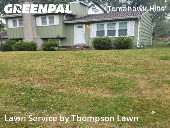 Grass Cutin Shawnee,66203,Lawn Cut by Thompson Lawn, work completed in Nov , 2025