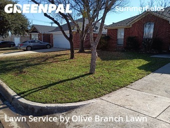 Lawn Service nearby Fort Worth, TX, 