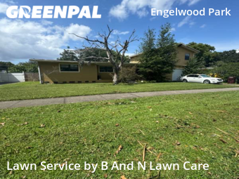 Lawn Cutting nearby Orlando, FL, 