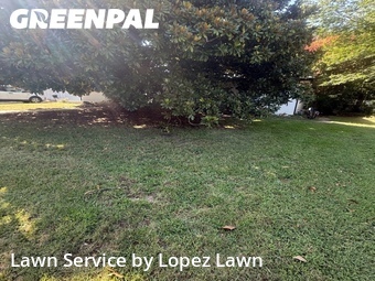 Lawn Cutting nearby North Richland Hills, TX, 