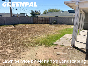 Grass Cut nearby Phoenix, AZ, 
