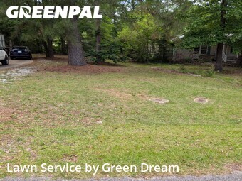 Yard Mowing nearby Southside, AL, 