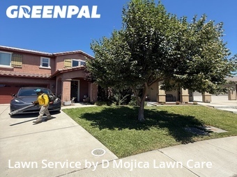 Yard Cutting nearby Elk Grove, CA, 