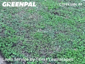 Lawn Care nearby Frisco, TX, 