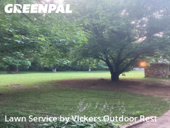 Lawn Mowing Service nearby Locust Grove, GA, 