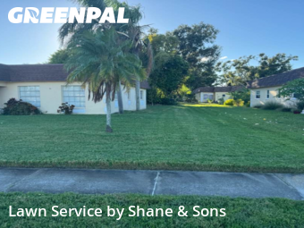 Yard Cutting nearby Seminole, FL, 