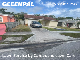 Grass Cut nearby Sarasota, FL, 