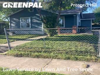 Grass Cutting nearby San Antonio, TX, 