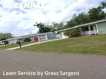 Lawn Mow nearby Tampa, FL, 