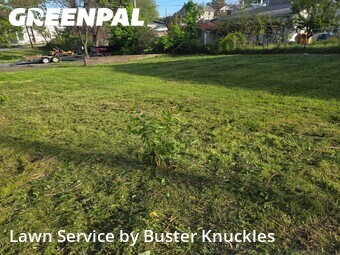 Lawn Mow nearby Scranton, PA, 
