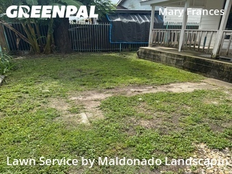 Grass Cut nearby Houston, TX, 