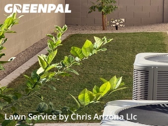 Lawn mowed in Chandler, 85249