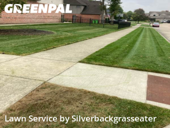 Lawn Cutting nearby Macomb, MI, 