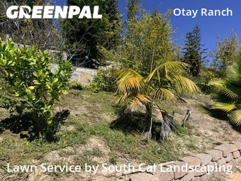 Lawn mowing work completed in Chula Vista, CA