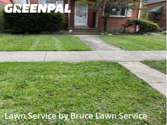 Yard Cutting nearby Broadview, IL, 