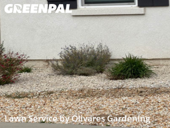 Landscaping In Lancaster,93536,Landscape Design by Olivares Gardening , work completed in Nov , 2025