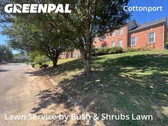 Lawn Maintenancein Brentwood,37027,Lawn Service by Bush & Shrubs Lawn, work completed in Nov , 2025