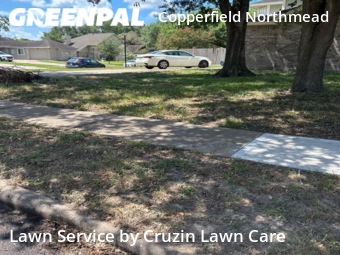 Grass Cut nearby Houston, TX, 