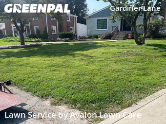 Lawn Cut nearby Louisville, KY, 