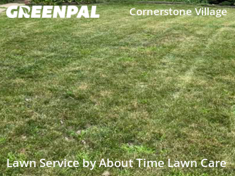 Yard Mowing nearby Detroit, MI, 