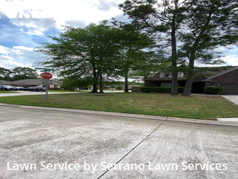 Grass Cutting nearby Magnolia, TX, 