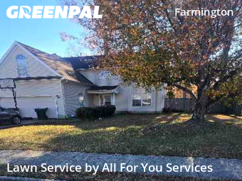 Local Lawn And Landscape Maintenance Services Near Me In Hampton,23666,Landscaping by All For You Services, work completed in Dec , 2025