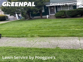 Lawn Care Service nearby Buffalo, NY, 