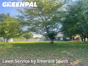 Yard Cutting nearby Murfreesboro, TN, 