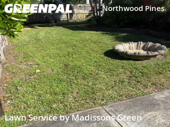 Lawn Maintenance in West Palm Beach, 33407, Yard Care by Madissons Green, work completed in Nov , 2025