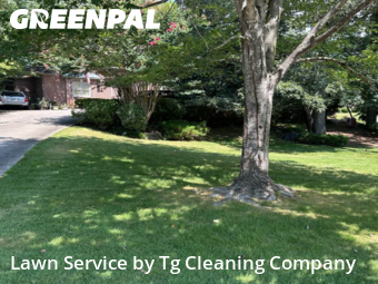 Lawn Care nearby Birmingham, AL, 