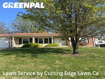 Grass Cut nearby St. Peters, MO, 