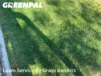 Lawn Maintenance nearby Billings, MT, 